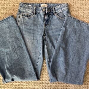 PacSun Blue Denim jeans Low Rise Baggy 23